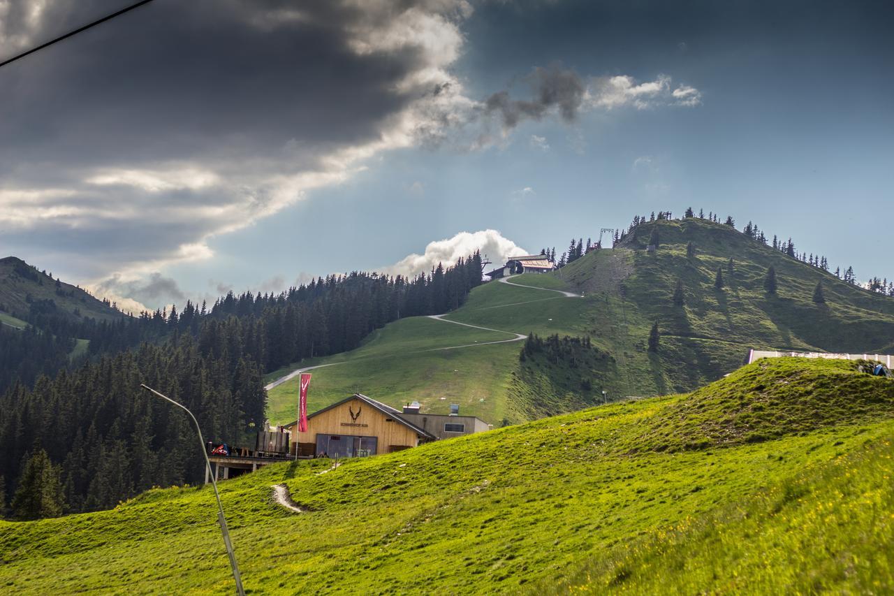 ホテル Schmiedhof Alm ツェル アム ゼー エクステリア 写真